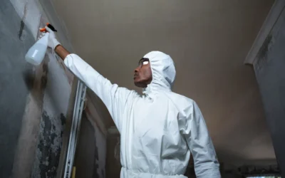 Sanitização e desinfecção em São Paulo: Proteja-se de microrganismos nocivos