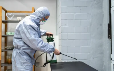 Sanitização de Ambientes em São Paulo: contrate uma empresa experiente