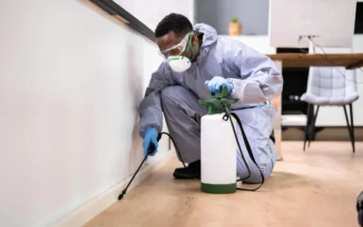 Medidas contra o coronavírus em São Paulo: conheça mais sobre a Sanitização