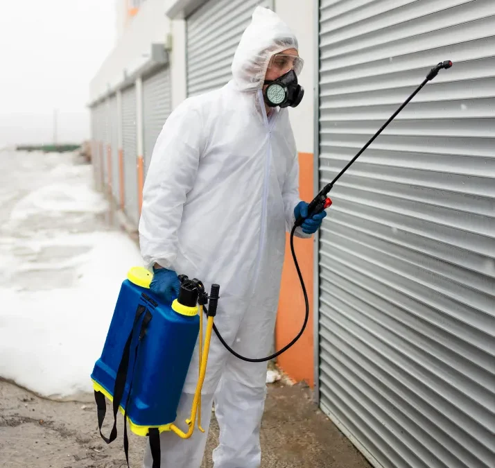 Preço da dedetização em São Paulo