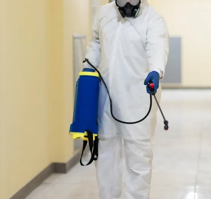 5 aspectos que são importantes na hora de contratar uma dedetizadora, além do preço da dedetização