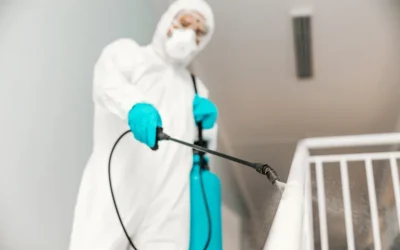 Sanitização e desinfecção em São Paulo para empresas