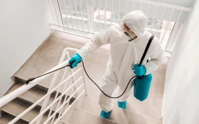 Sanitização para comércios em São Paulo: prepare-se para a reabertura