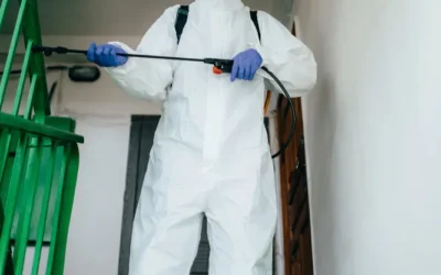 Sanitização de Lojas: garanta a segurança dos visitantes contra a COVID-19