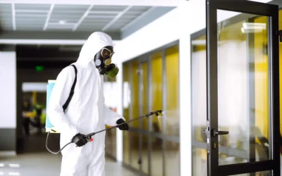 Sanitização em locais públicos: é permitido?