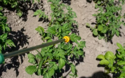 Capina Química: Solução Eficiente para Controle de Vegetação em Grandes Áreas Industriais