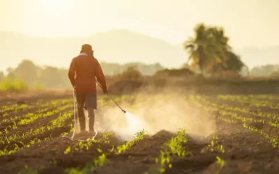 Por que optar pela Capina Química em Projetos Corporativos?