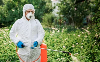 Segurança e Sustentabilidade na Capina Química: Boas Práticas para Empresas