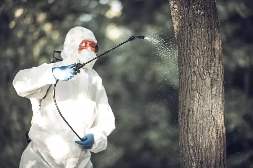 5 dúvidas comuns sobre o uso de cipermetrina — respondidas por um especialista Termitek