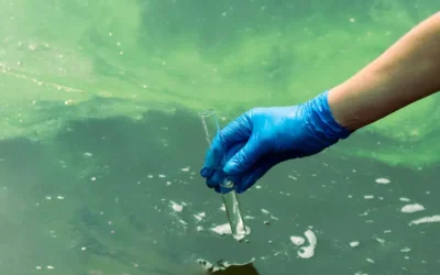 Controle de Pragas x Limpeza de Reservatório: Quando e Por que as Normas se Aplicam