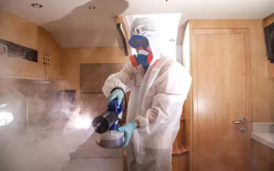 Dedetização, Desinsetização e Controle Integrado de Pragas: Entenda as Diferenças e as Normas Aplicáveis