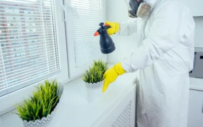 A importância da integração de serviços de Controle de Pragas, Higienização de Reservatórios e Ambientes