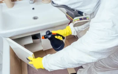 Soluções Sustentáveis no Controle Integrado de Pragas: Menos Química, Mais Eficiência