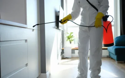 Controle de pragas como parte da gestão de risco operacional