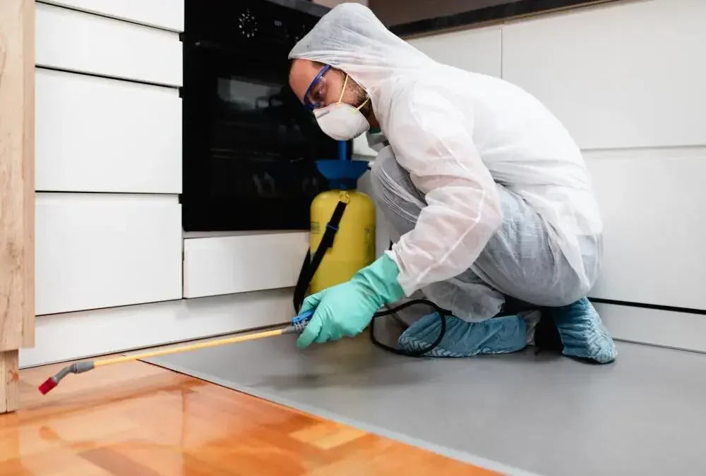 GFSI (Global Food Safety Initiative) e suas normas de certificação de qualidade e segurança de alimentos mais aplicadas na cadeia de alimentos do Brasil e do mundo