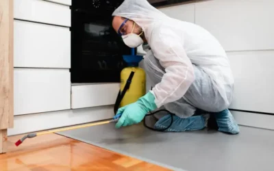 GFSI (Global Food Safety Initiative) e suas normas de certificação de qualidade e segurança de alimentos mais aplicadas na cadeia de alimentos do Brasil e do mundo