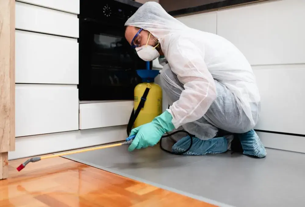 GFSI (Global Food Safety Initiative) e suas normas de certificação de qualidade e segurança de alimentos mais aplicadas na cadeia de alimentos do Brasil e do mundo