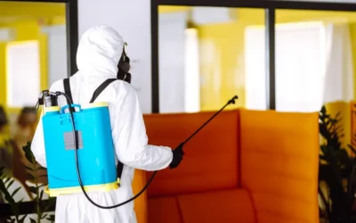 Dedetização profissional e prevenção de crises sanitárias