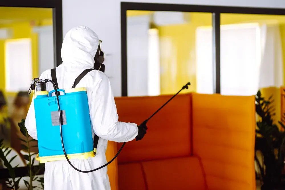 Dedetização profissional e prevenção de crises sanitárias